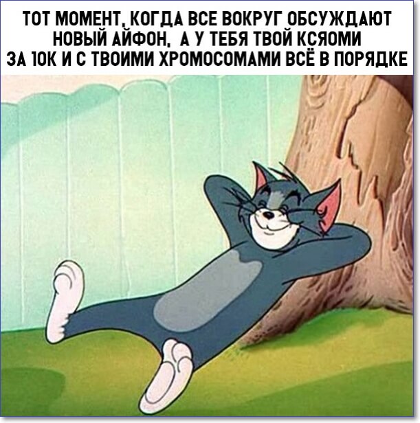 Почему многие в последнее время зациклены на телефонах сяоми редми