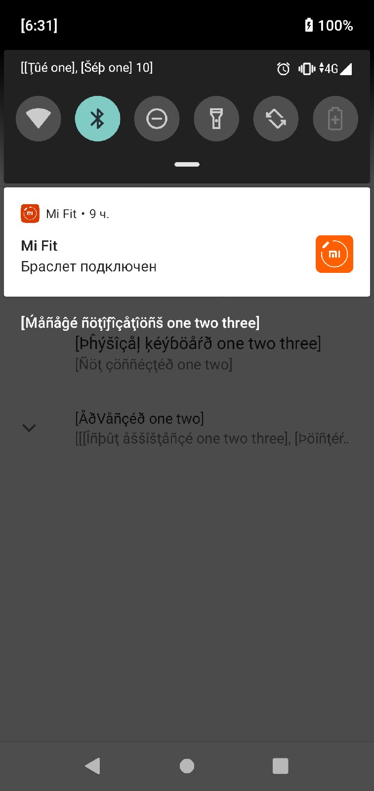 Странные буквы xiaomi