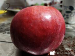 Какая камера лучше Redmi note 7 с Google camera 1 фото, или стоковая 2 фото - 1