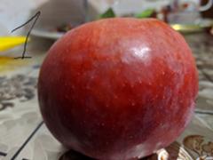 Какая камера лучше Redmi note 7 с Google camera 1 фото, или стоковая 2 фото
