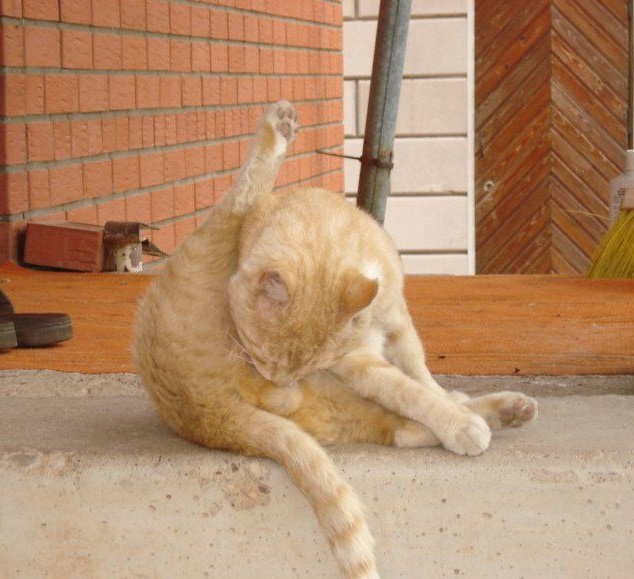 Стоит ли сейчас переходить на 12 андроид У меня на редми 9с стоит 10 вот думаю стоит ли обновляться