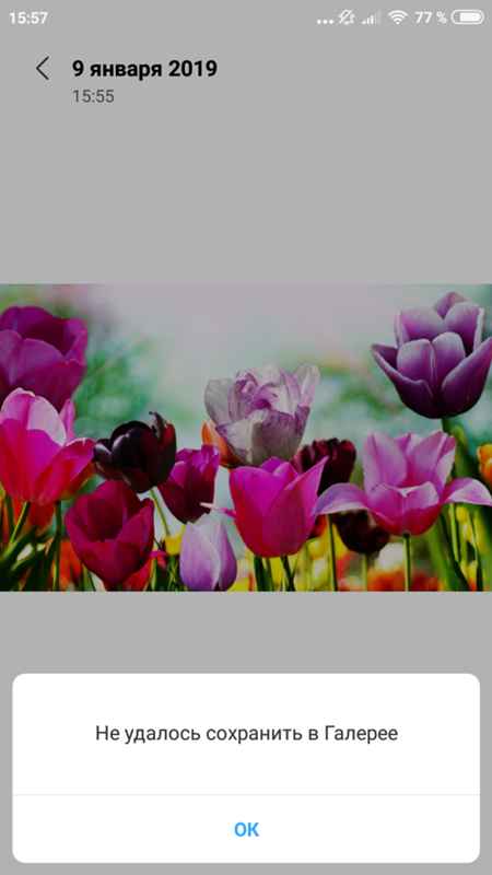 При скачивании файла Si Bin на ксиоми пишет не удалось сохранить в галерее что делать - 1
