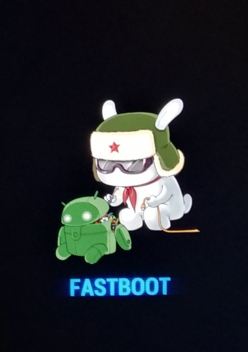 Возможно ли зайти в fastboot на Xiaomi, если телефон стал кирпичом